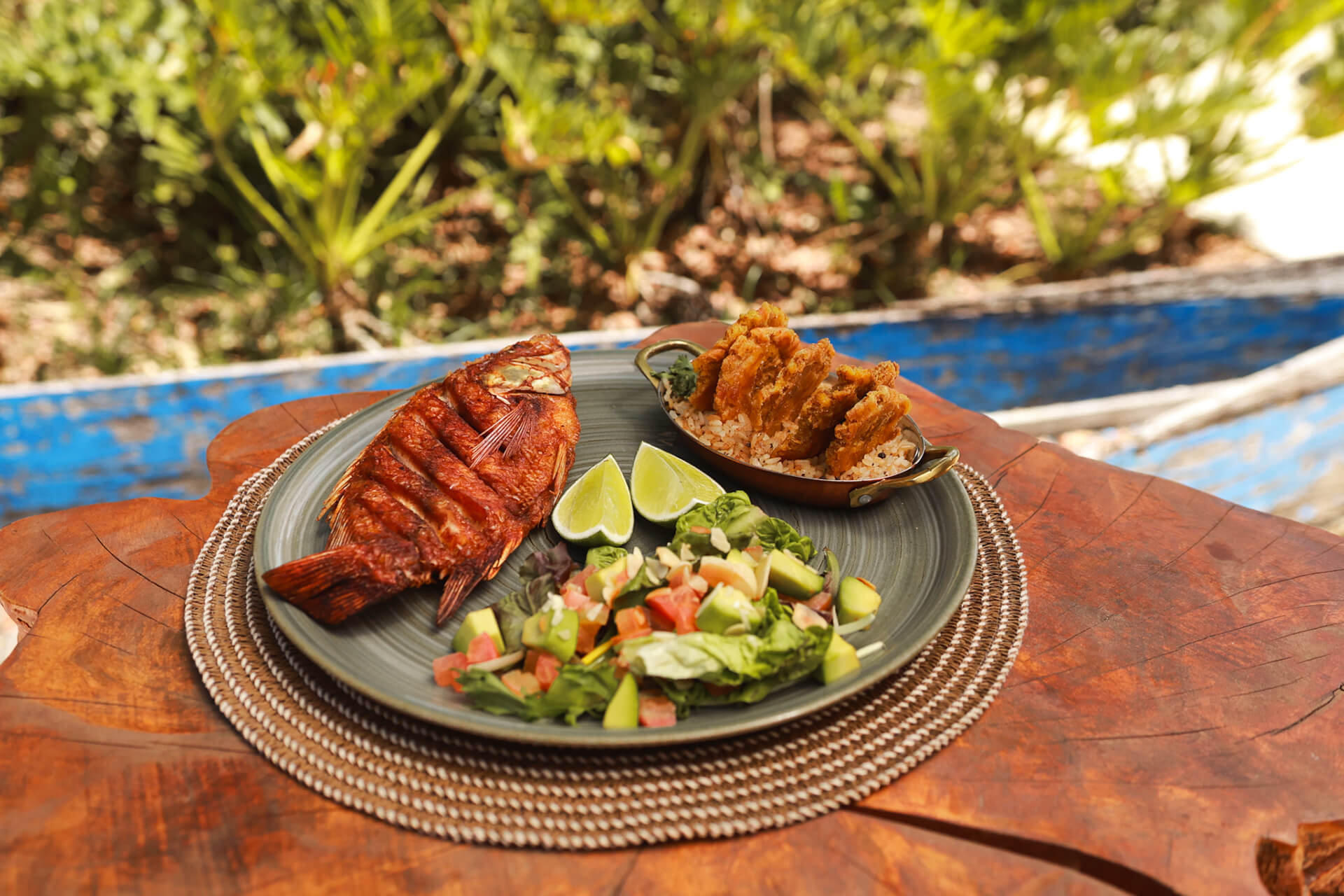 comida-nativa-refugio